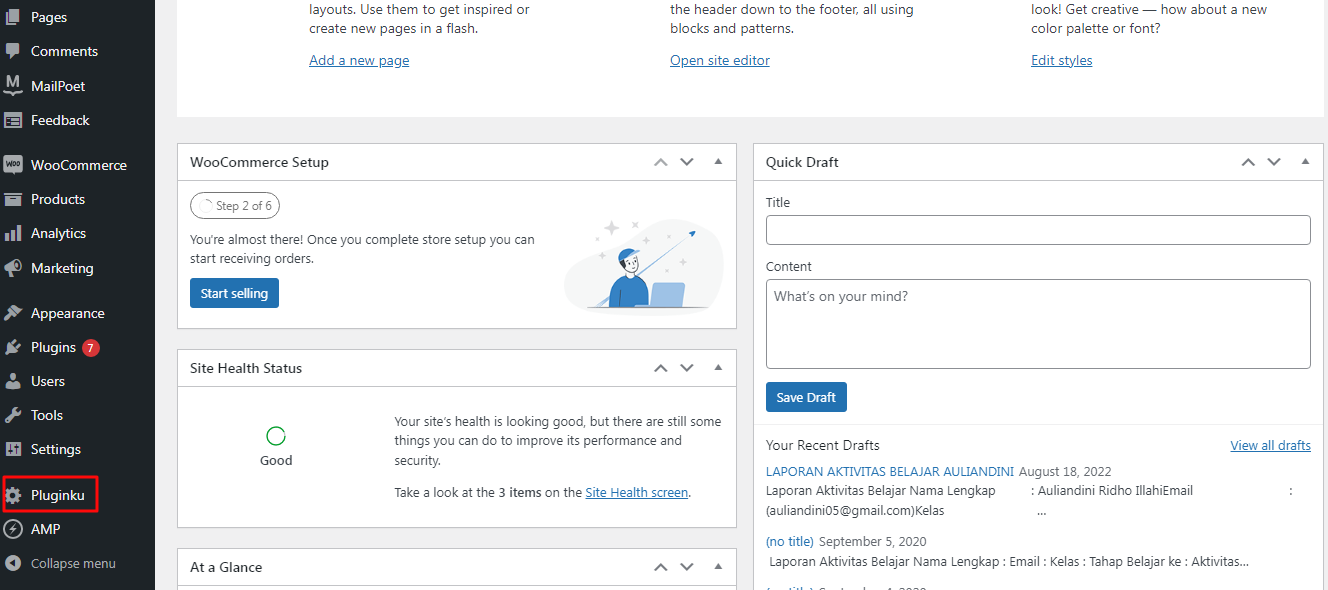 Panduan Cara Membuat Plugin Wordpress Sendiri