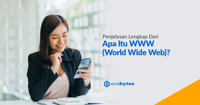 Penjelasan Lengkap Dari Apa Itu WWW (World Wide Web)